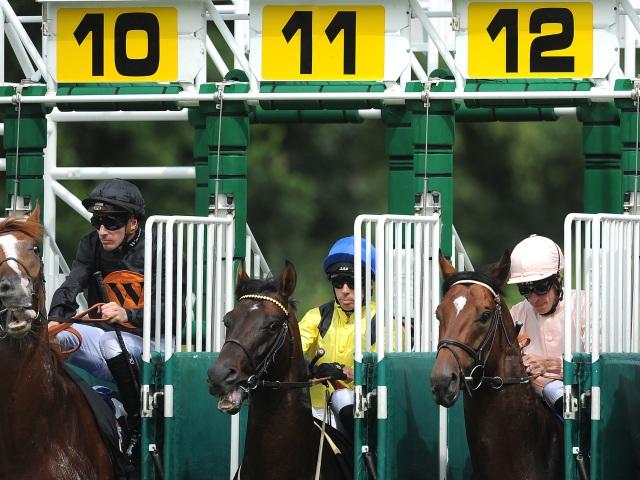 Timeform bring you three selections on Sunday